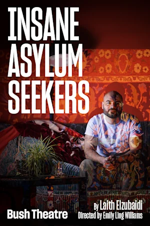 Insane Asylum Seekers